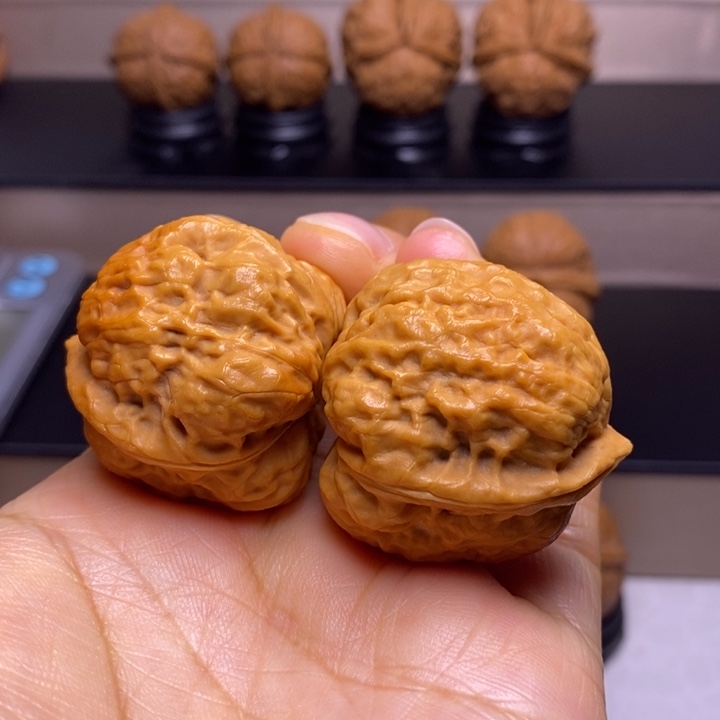 文玩核桃把件卧莲金蟾29