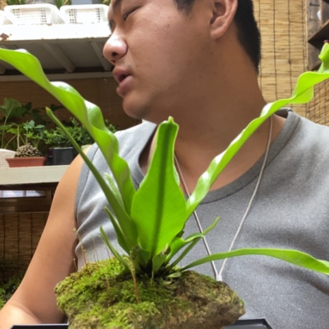 红陶?****理一物一拍所见即所得256
