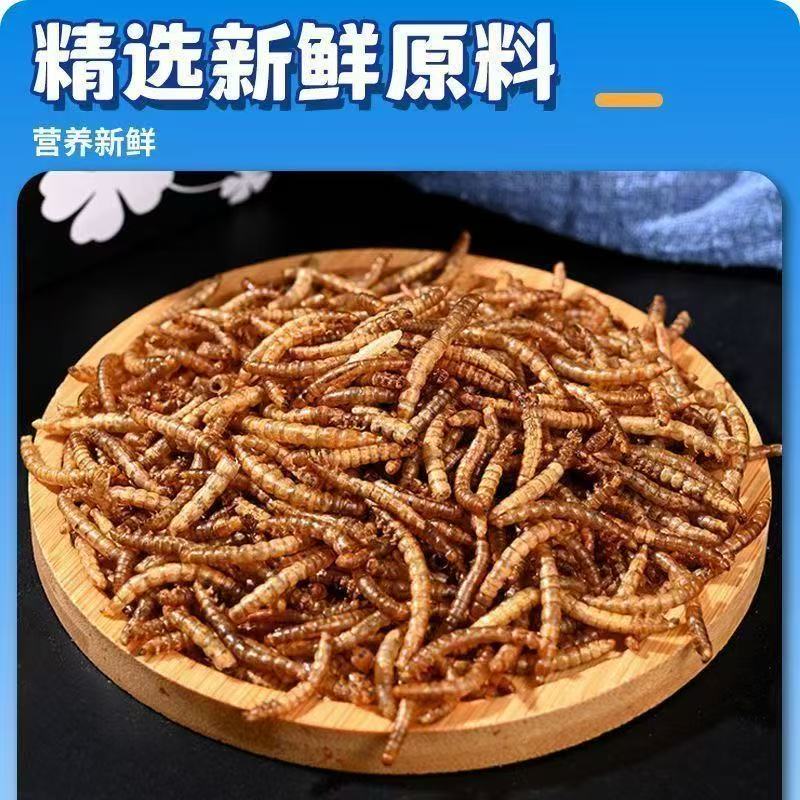 面包虫【虫干】观赏鱼乌龟仓鼠蜘蛛蛙八哥鸟等动物饲料