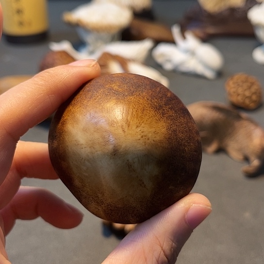 猪***云鹿骨摆件鹿角香菇手把件