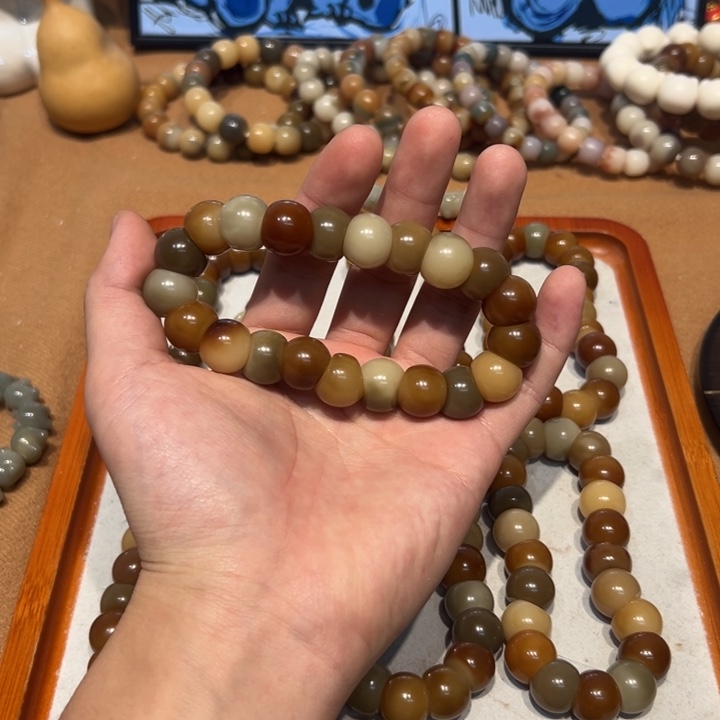 菩提根/象牙果吊坠15大肠