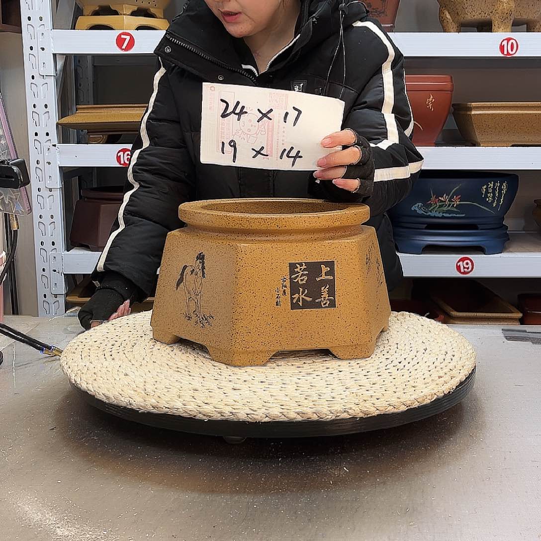 紫砂花盆紫砂花盆