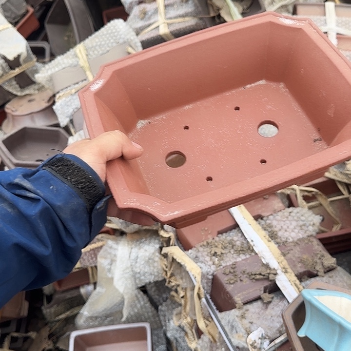 在这片美丽之乡上海举办画展是非常