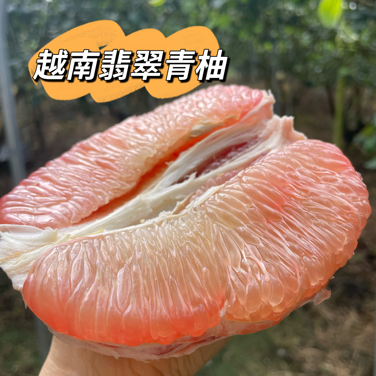 越南翡翠青柚低糖软糯新鲜现摘多汁当季水果孕妇老人