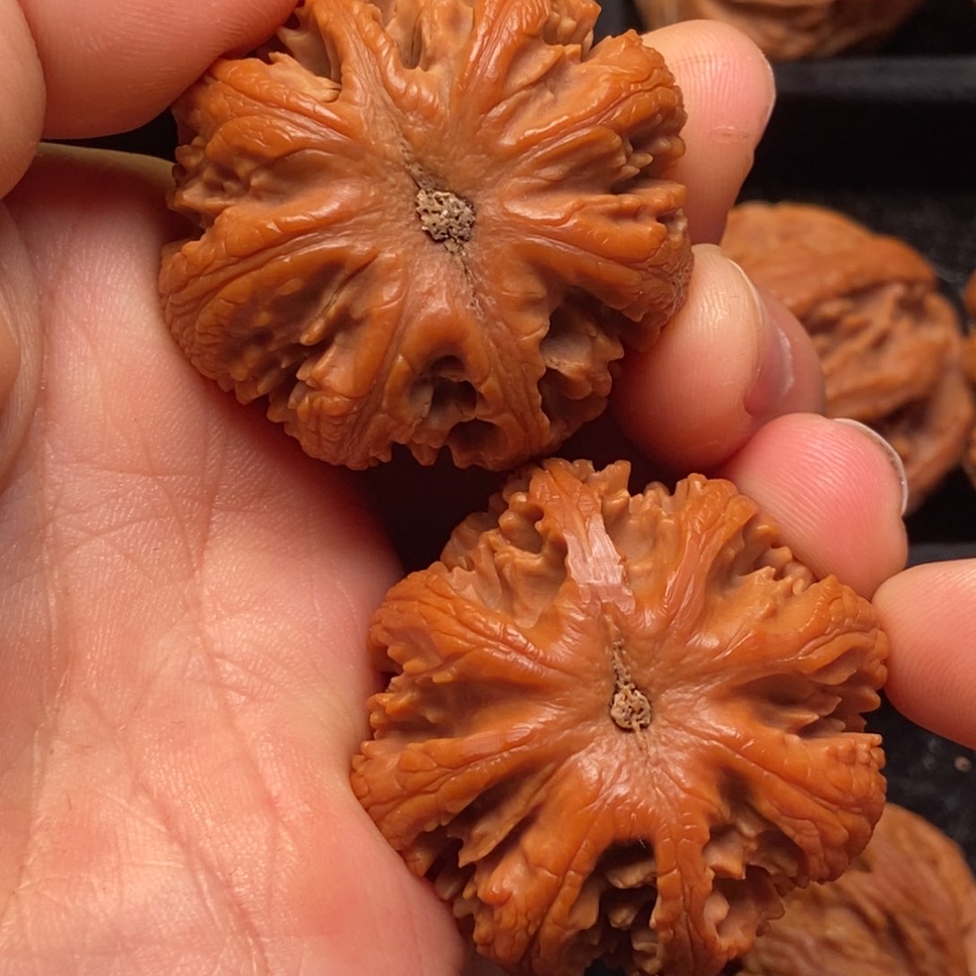 文玩核桃吊坠秦岭山脉核桃