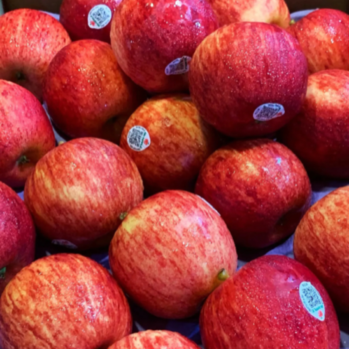 新西兰进口加力果6个，进口小苹果，脆甜爽口，一口爆汁！kg山东省