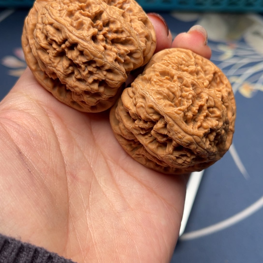 文玩核桃把件粗筋43