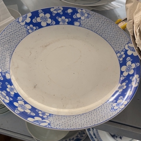 瓷其他10寸窝盘一个