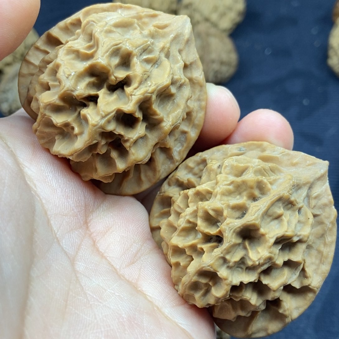 文玩核桃把件帝王大花47尺寸