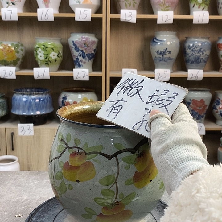 缸5xc景德镇陶瓷花盆