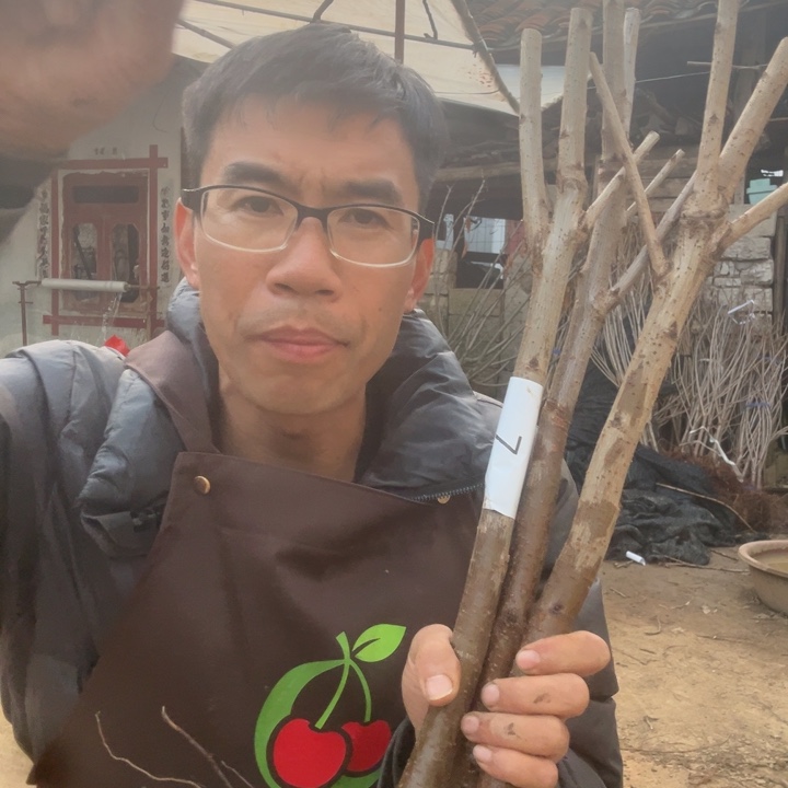 当前无花栽培后可以开花7 不包活