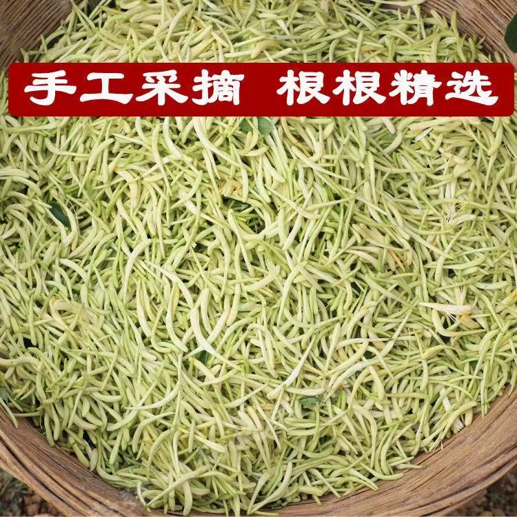 【金银花】山东金银花S-062