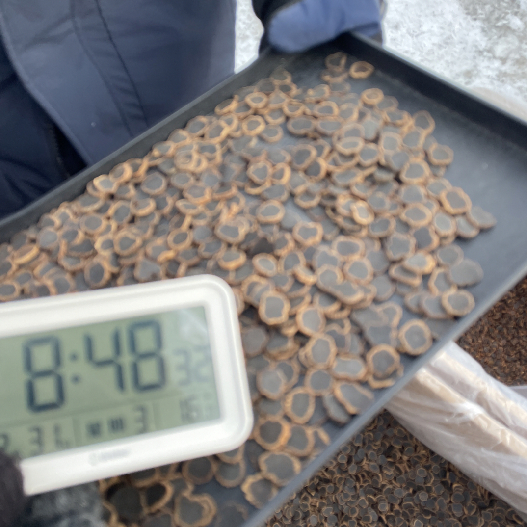 【小谢严选】长白山溯源-金边黑参片-整支切片 九蒸九晒 12月31日