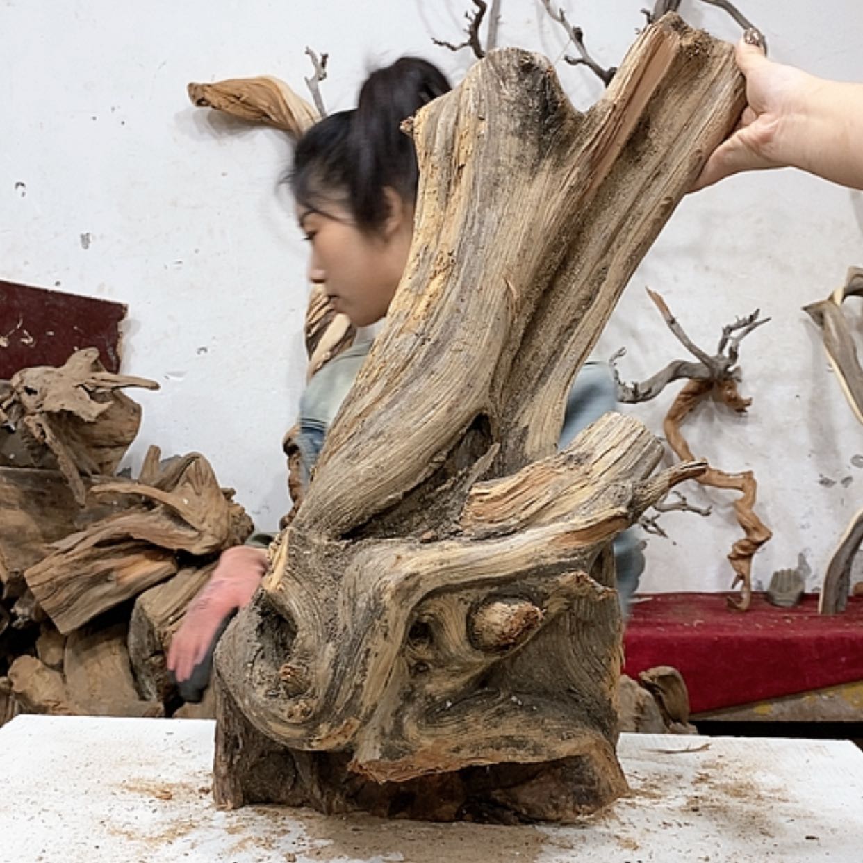 【闪购商品】柏木?*我们都是好孩子