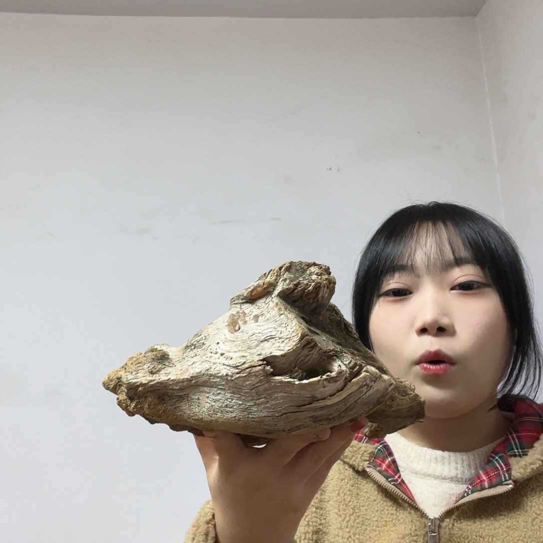 墨***室柏木我是一只小小鸟地域文化