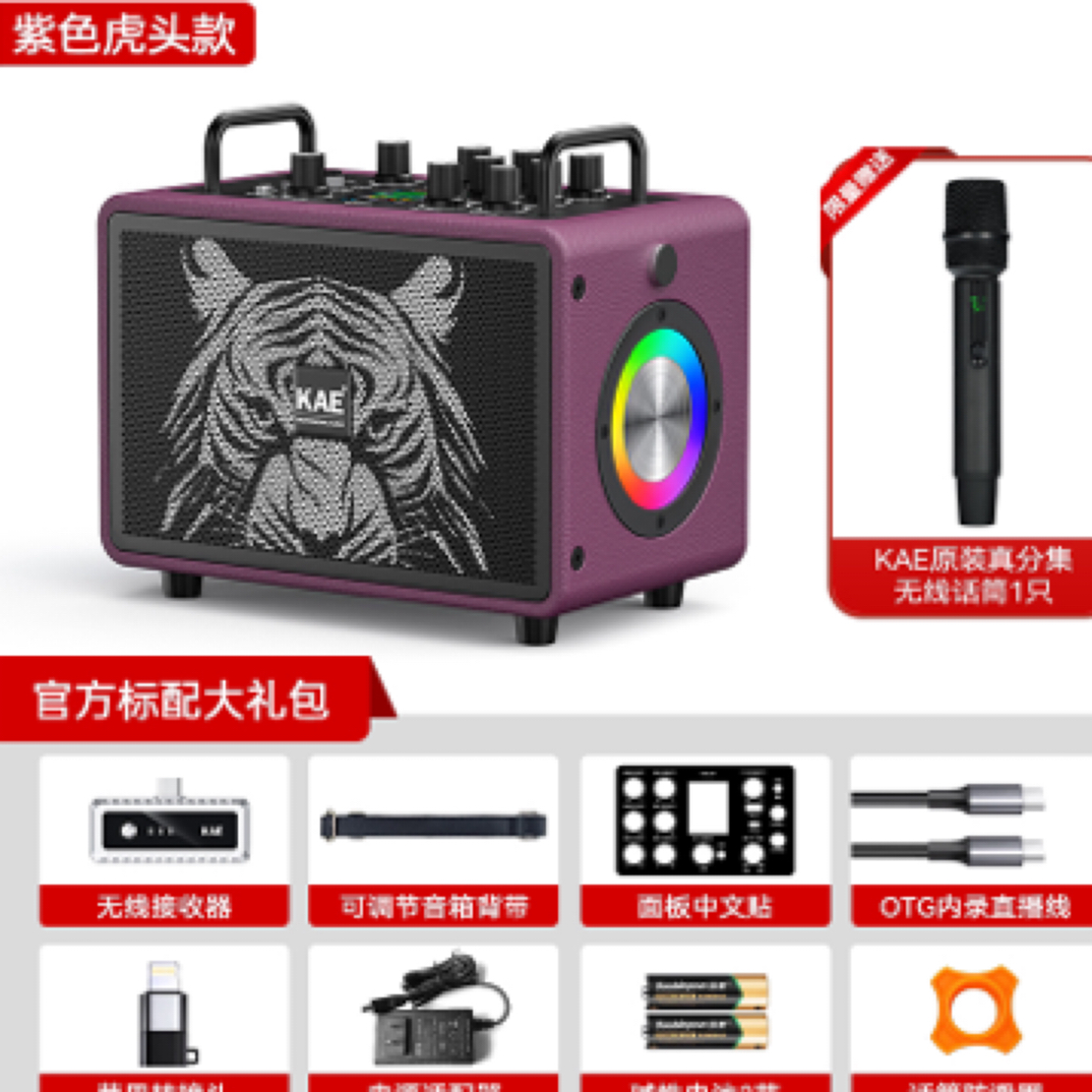 电吹管 乐器直播专用音响 KAE-M3 便携式 内录 自带无线话筒 