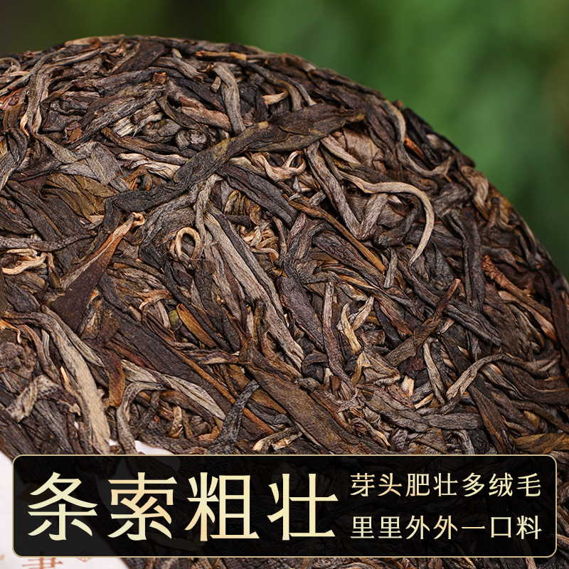 2022年冷水河古树纯料200克/小饼