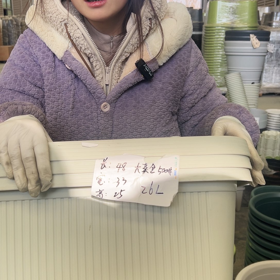 菜盆500#米白3个无托