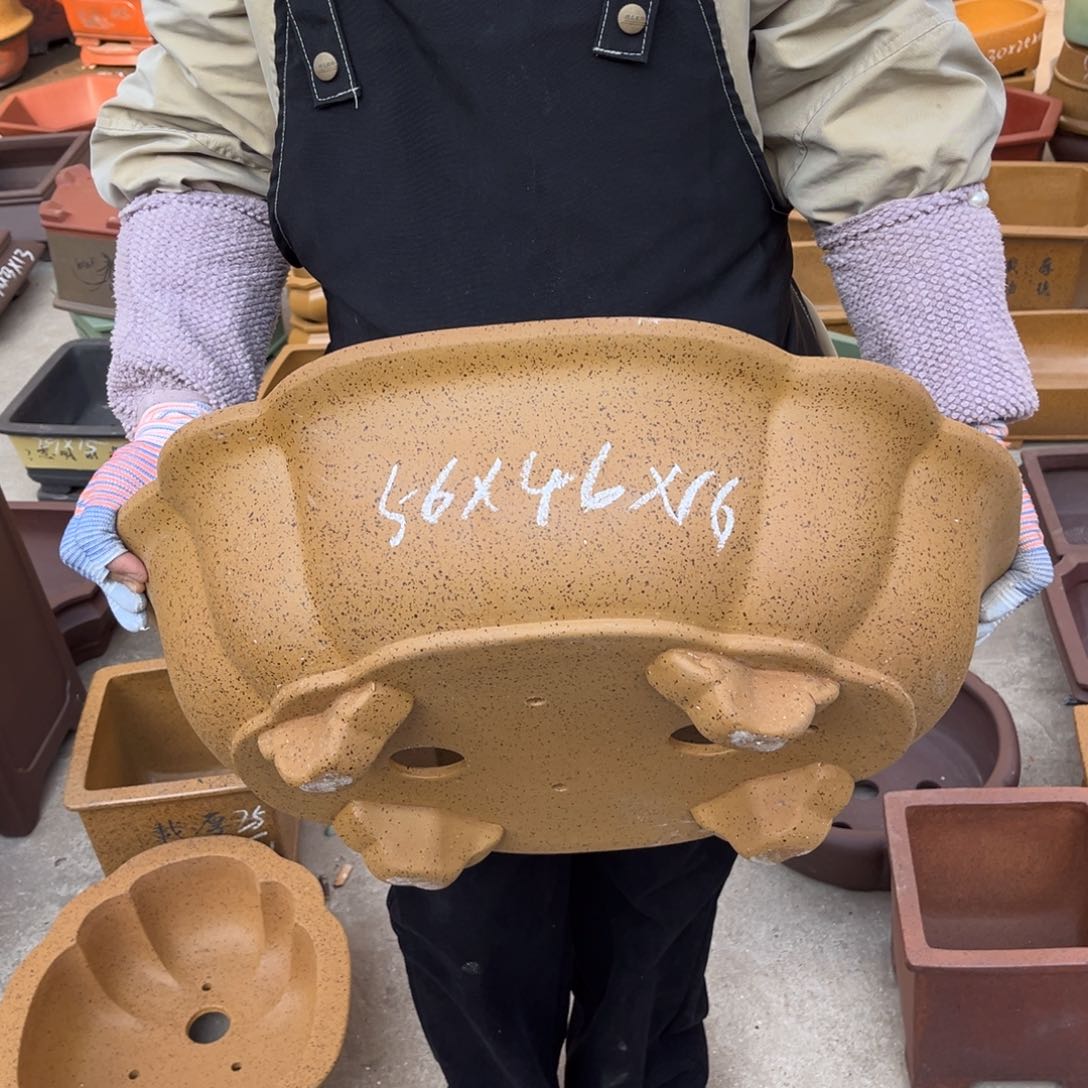 紫砂花盆盆景艺术