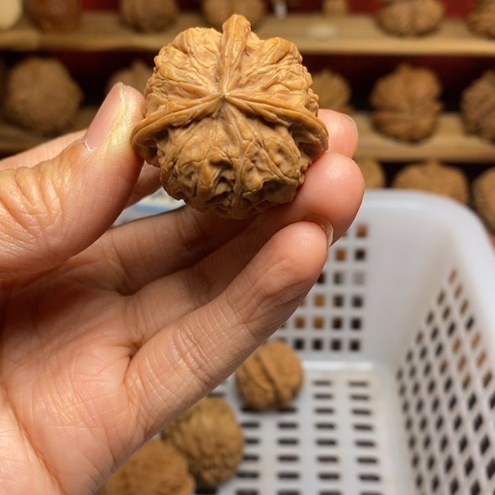 过***山文玩核桃把件尺寸