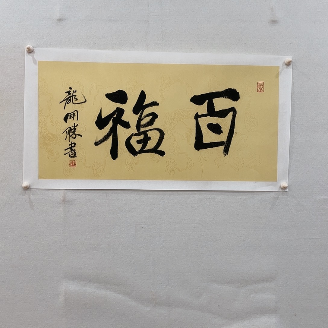 横款博航艺术书法作品集