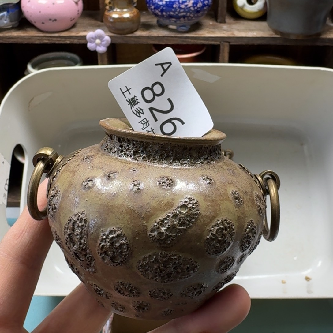 陶瓷艺术品设计与制作