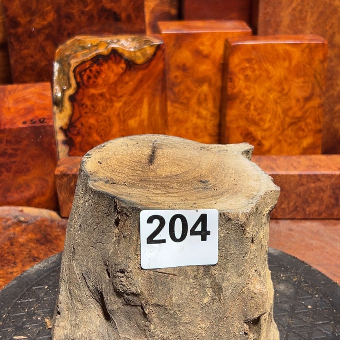 艸***烎大果紫檀（缅甸花梨）