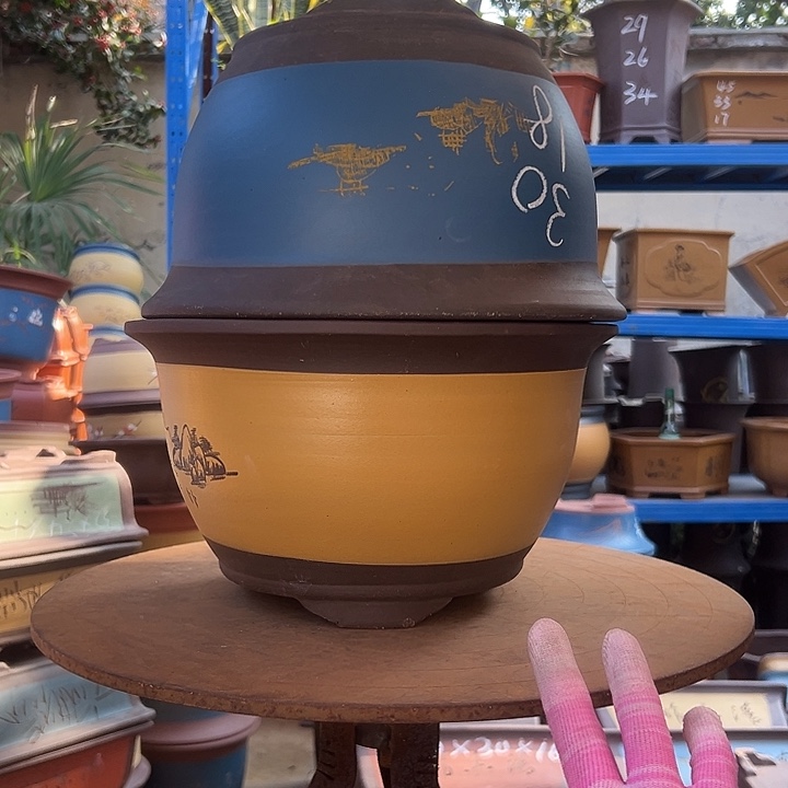 003和30蓝山花盆花盆花盆花盆花盆