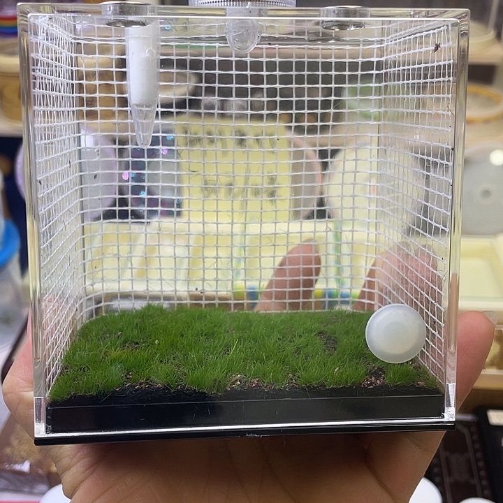 韦***壹生态盒随单1啊啊啊啊啊啊