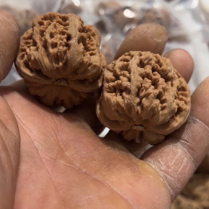 核桃福利多多福多多
