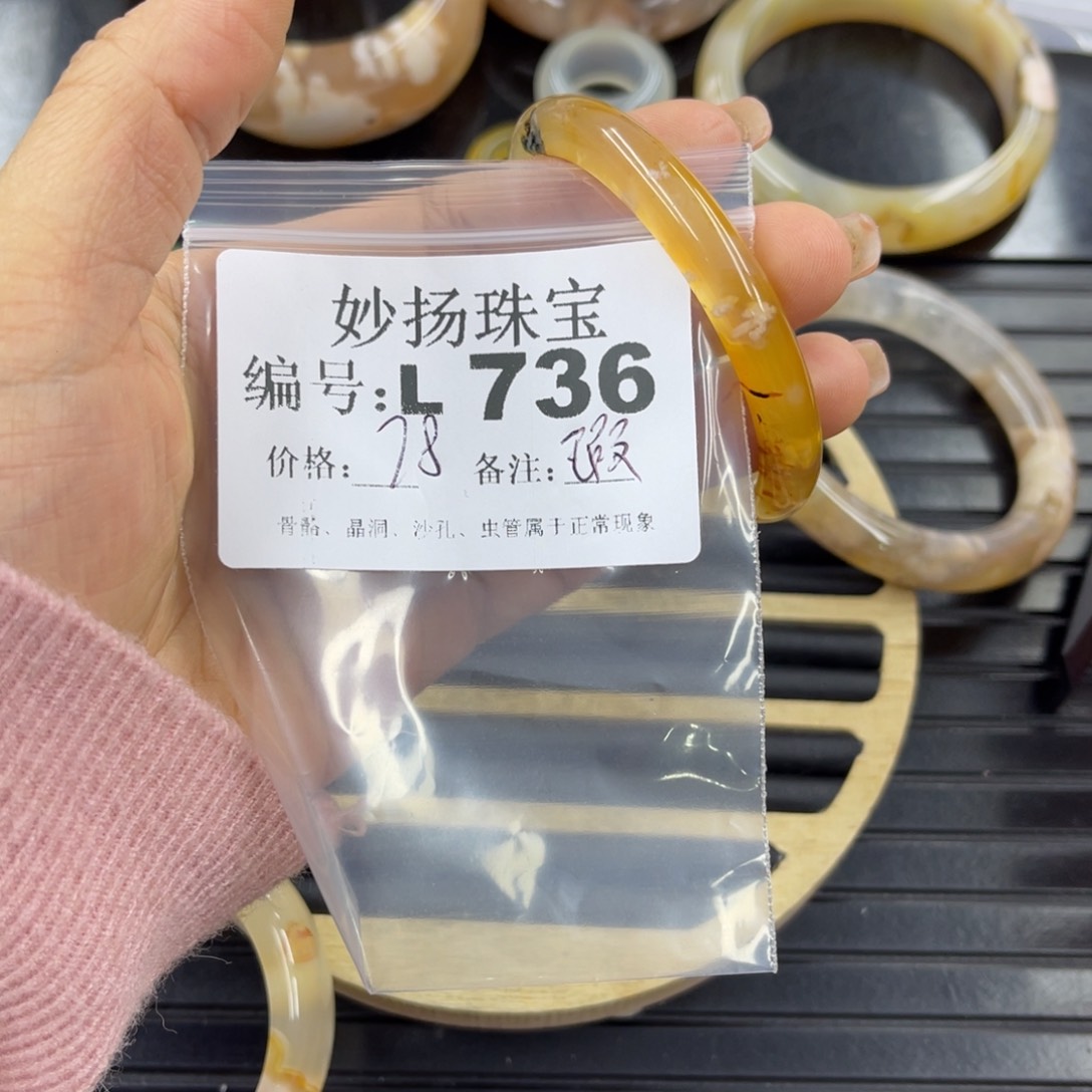 硅化珊瑚（珊瑚玉）瑕未镶嵌飒****)