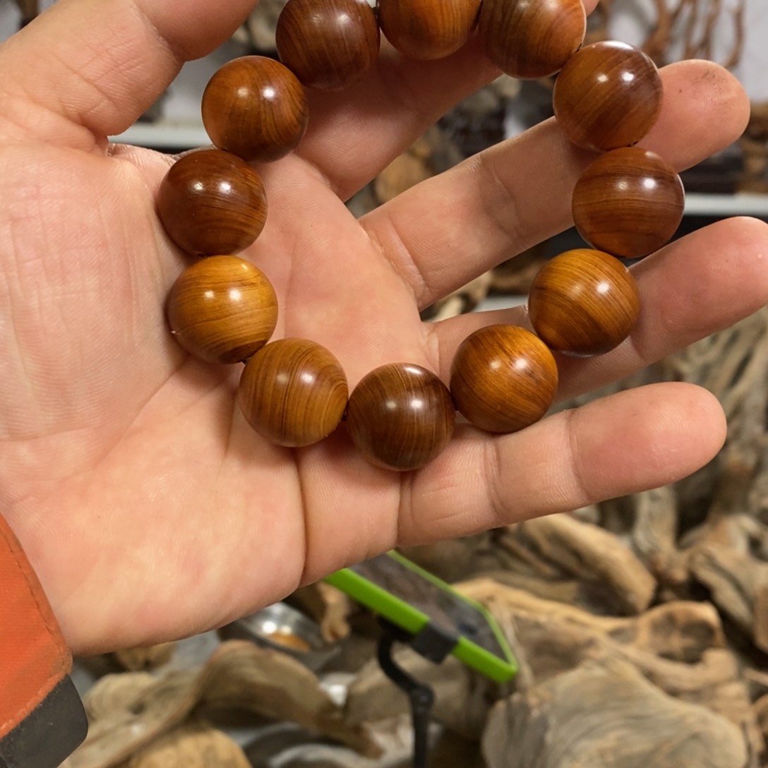 柏木我们都是好孩子
