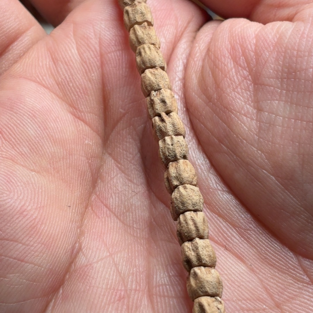 吊坠柏香籽/百香籽