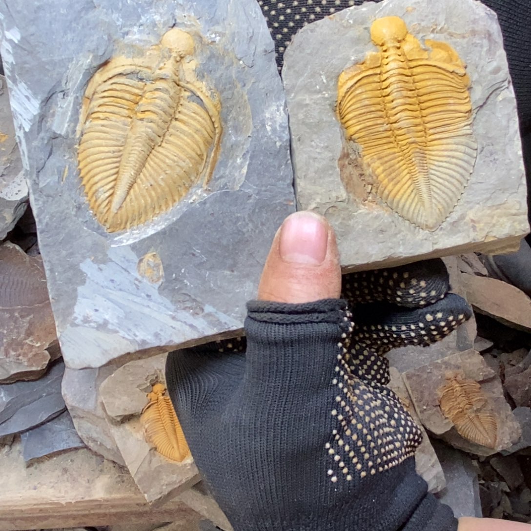 基***斯石材11111111111111