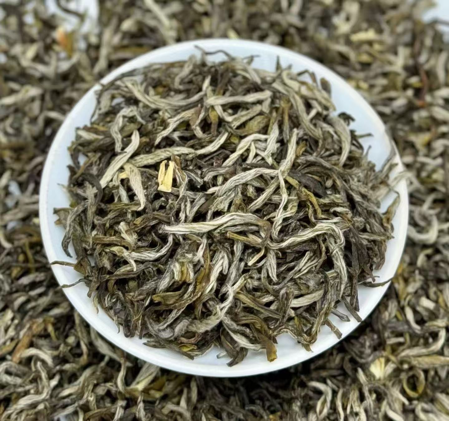 龙豪老味茉莉茶叶茉莉花茶浓香型花香茶香豪横茶味足口感浓郁度高