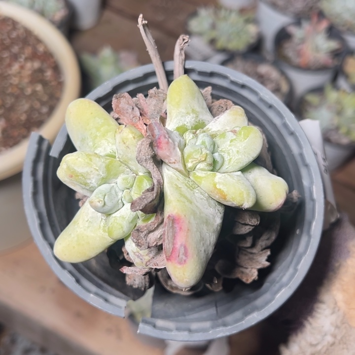 748哈哈哈哈哈哈哈哈