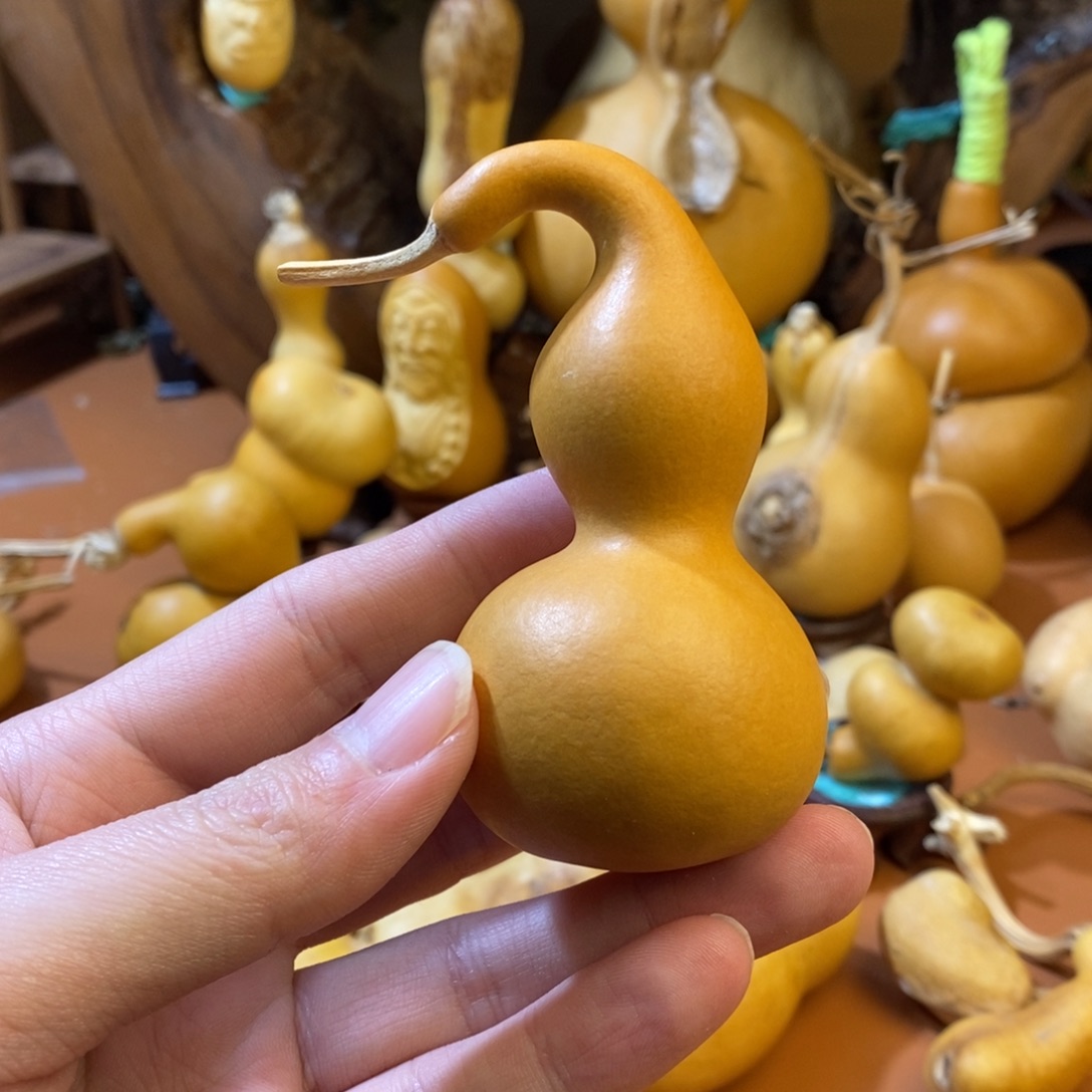 七***福教练咯路途教练教练