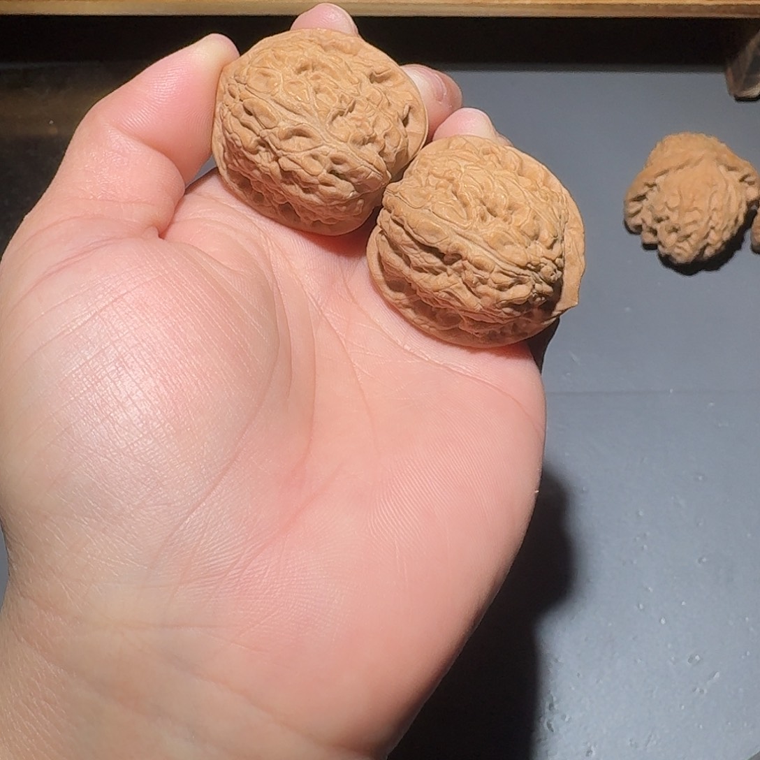 大***子把件文玩核桃龙胆