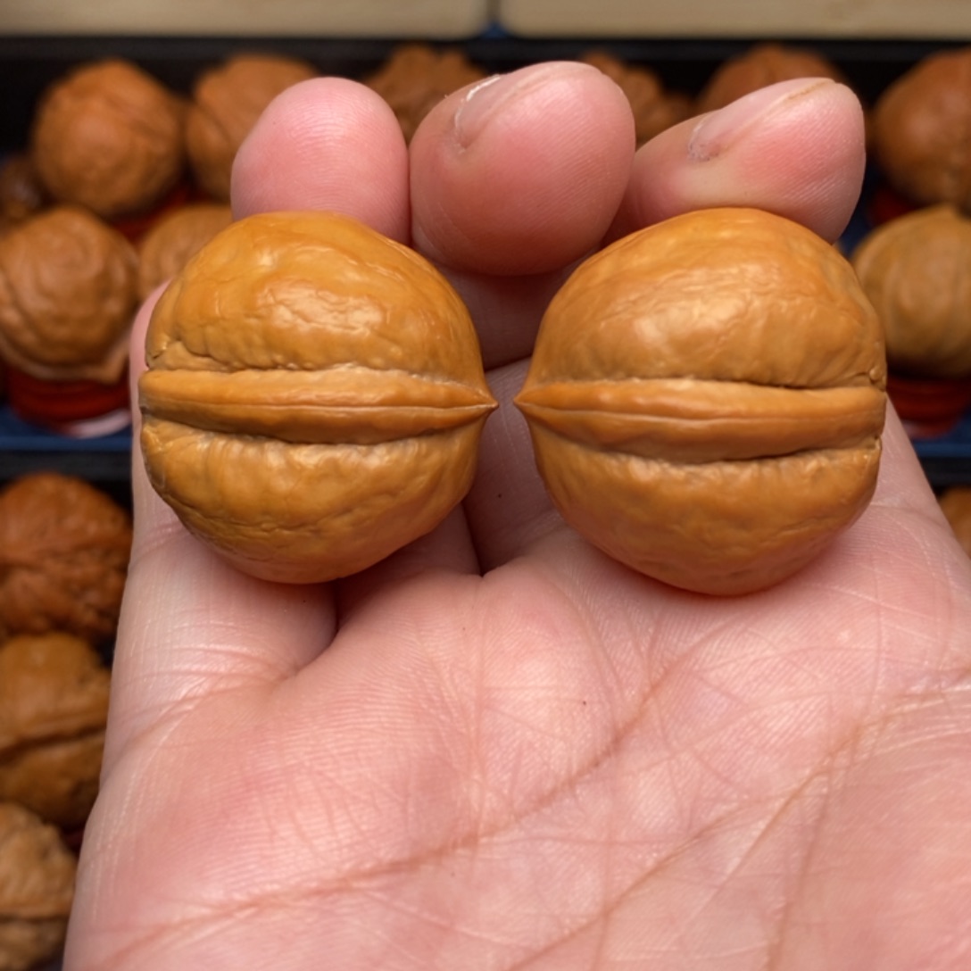 文玩核桃把件手捻好海豚