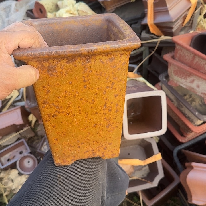 你要吃好了才走呢还是我在车站