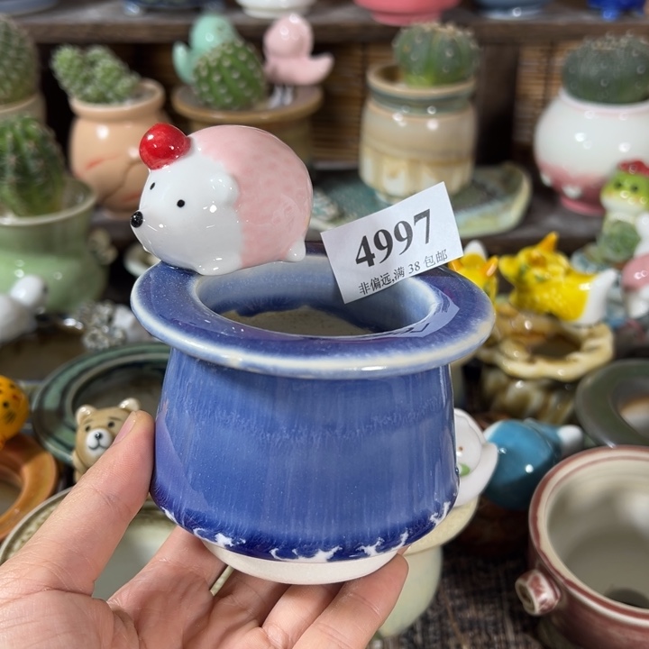 口6高7  活动价满30包邮