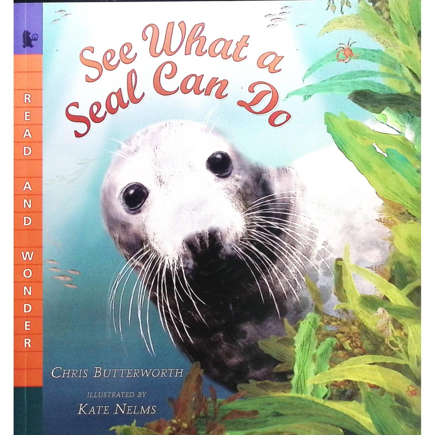 英语原版书阅读与奇迹系列SeeWhatASealCanDo看看海豹能做什么科