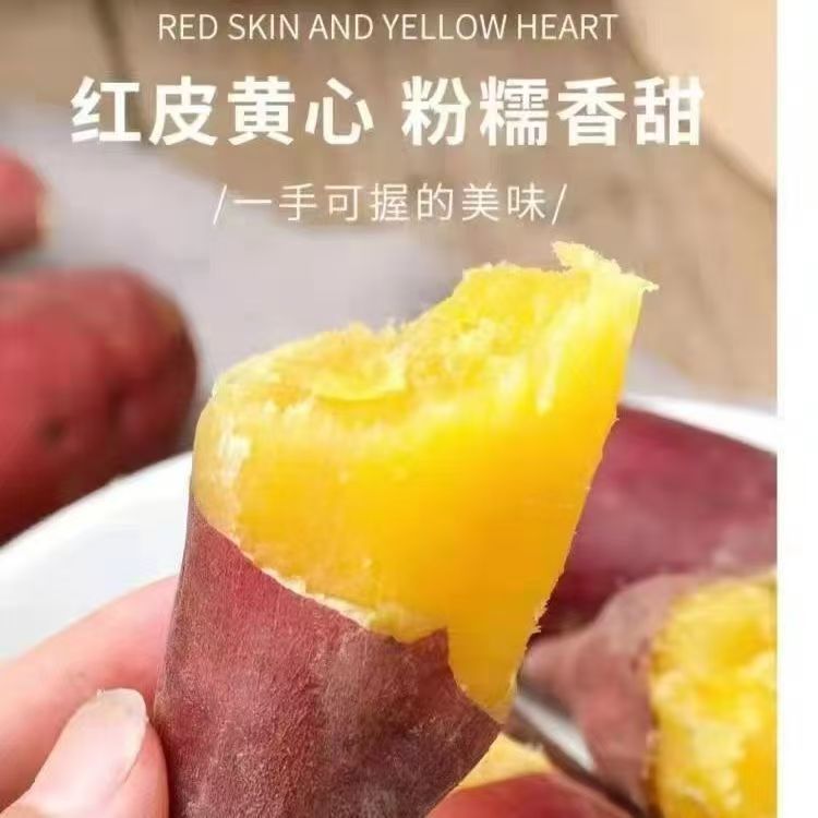 【精选大果】天目山小香薯金手指红薯新鲜挖黄心粉甜沙地板栗地瓜
