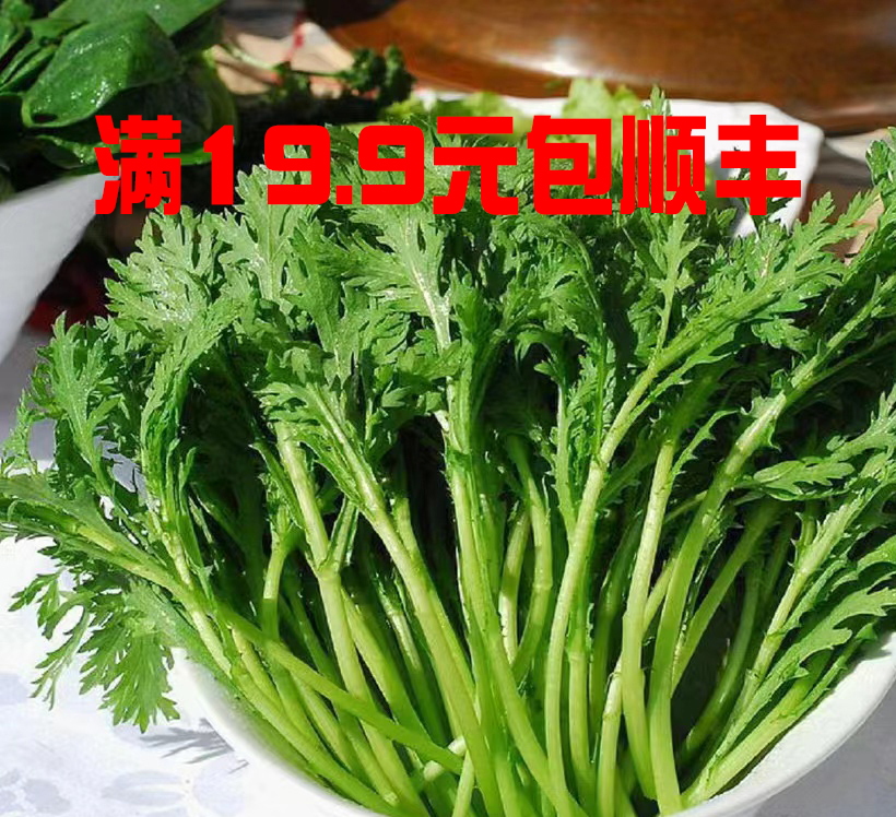 (顺丰快递 ）苏州常熟本地新鲜现采现发小叶茼蒿（500G）