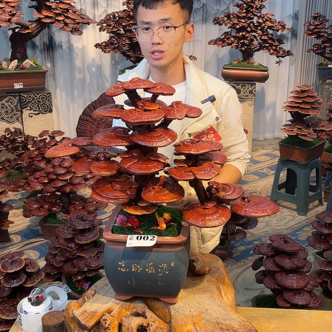 无花朵88888888888