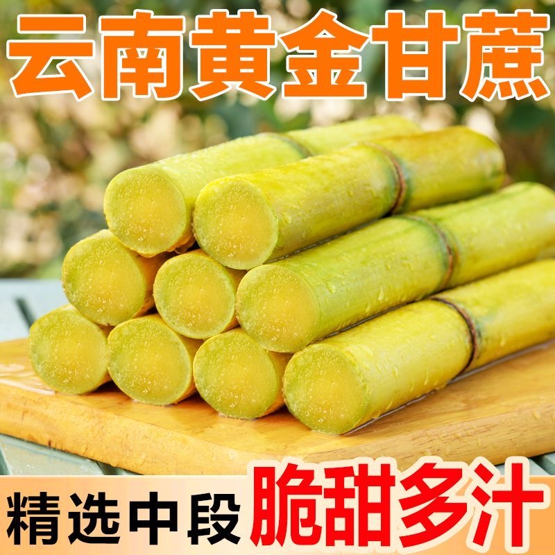 云南版纳黄金甘蔗现砍现发清甜多汁新鲜应季水果1