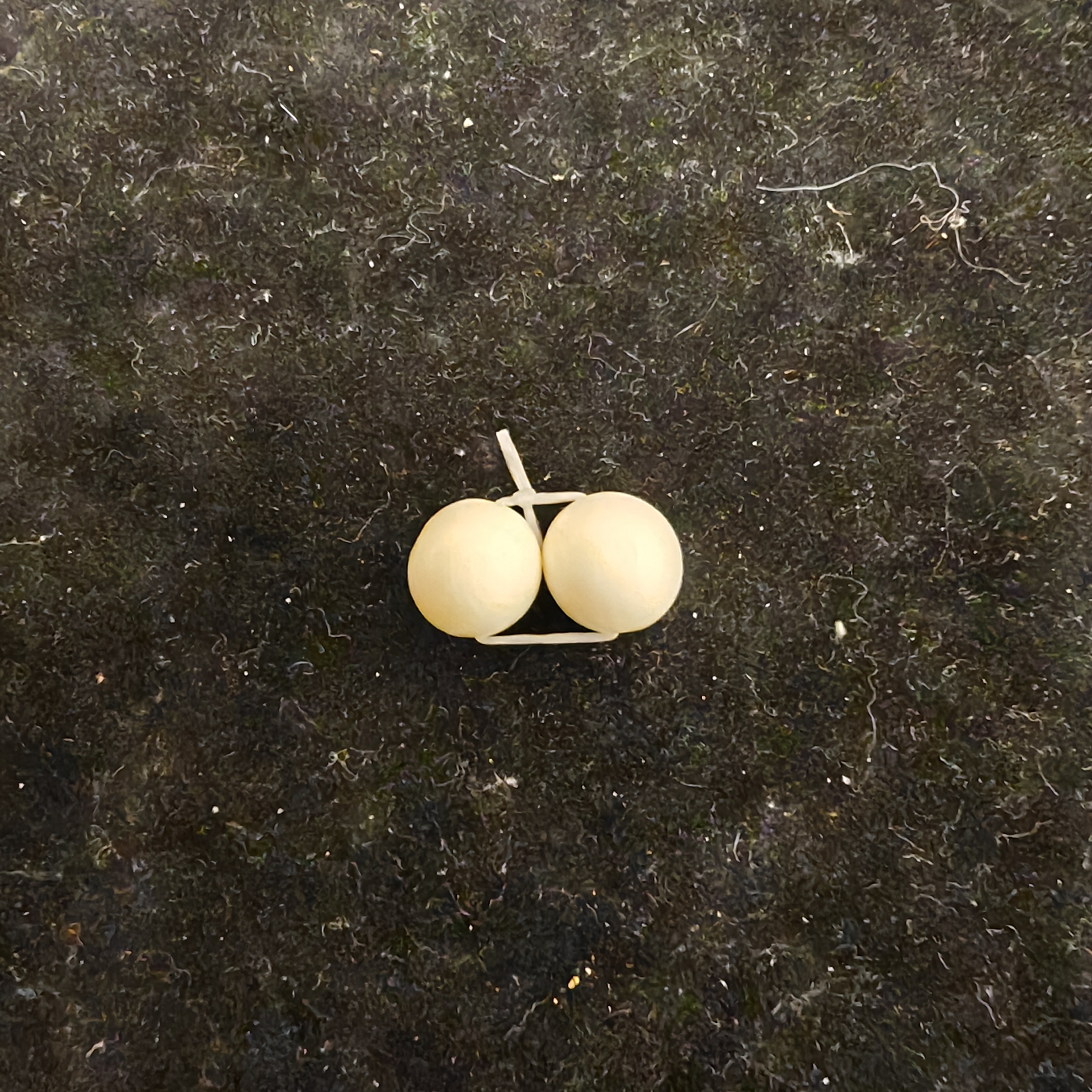 天然猛犸象牙珠子一对