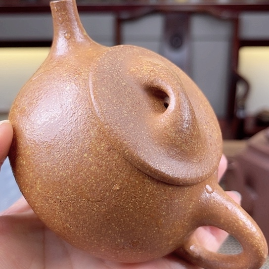 紫砂茶壶今天不知道