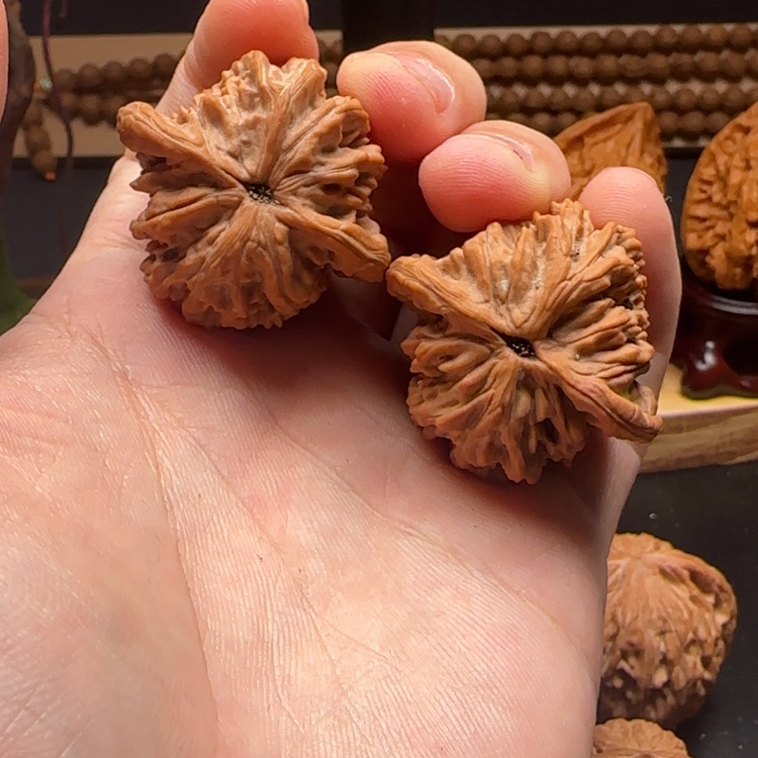 咖***糖核桃堂虎全品无修