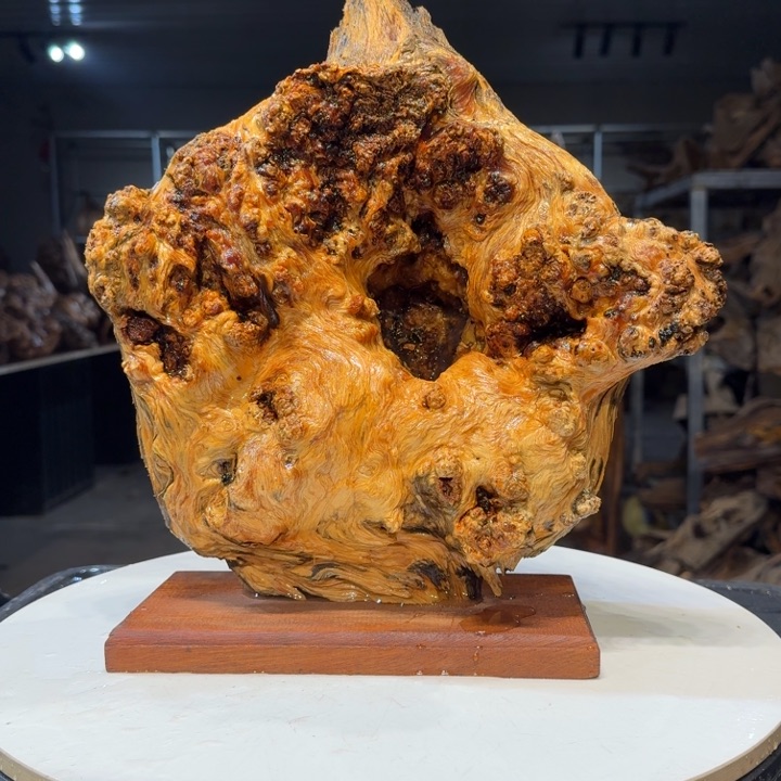 木大*王一刀琥珀木47